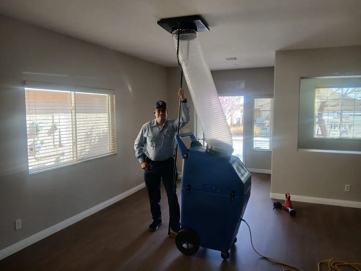 Professional Dryer Vent Cleaning work inside a Davenport home